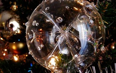 SOIREE FESTIVE DU 28 SEPTEMBRE 2024 A L’HIPPODROME DE CARPENTRAS