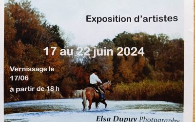 A LA RENCONTRE DES COUPS DE COEUR